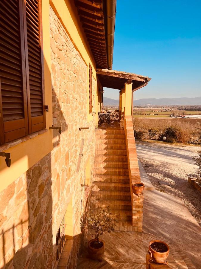 Agriturismo Il Divin Casale Torgiano Luaran gambar